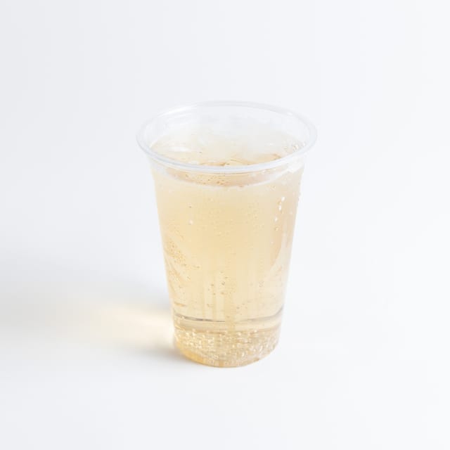 Ginger Ale 20 Oz.